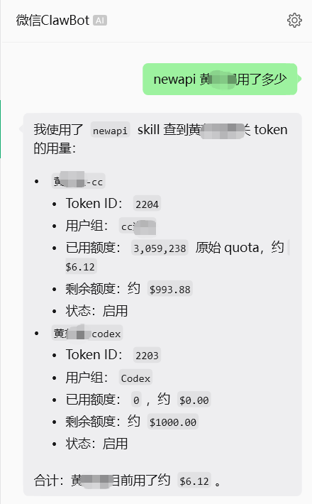newapi 查看某个令牌的用量
